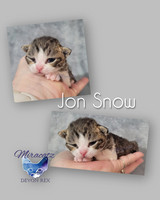 Jon Snow