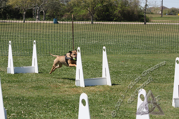 RMFCR-36468-sm