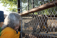 In-Sync Exotics - July 29, 2012