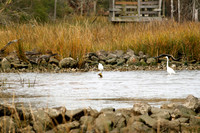Little Cedar Bayou Nature Trail - La Porte,TX - Jan 01, 2014