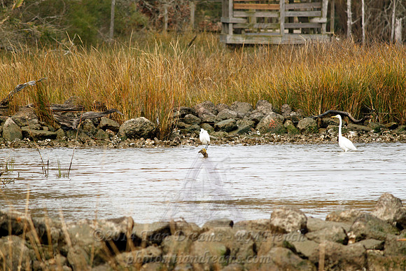 Little Cedar Bayou Nature Trail - La Porte,TX - Jan 01, 2014
