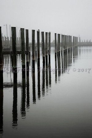 Foggy HYC - 2