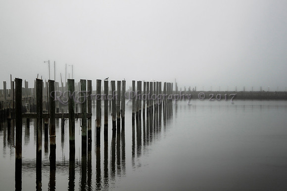 Foggy HYC - 1