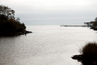 Little Cedar Bayou Nature Trail - La Porte,TX - Jan 01, 2014
