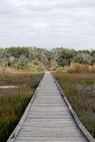 Jan 4, 2014 - San Jacinto Monument Nature Trail
